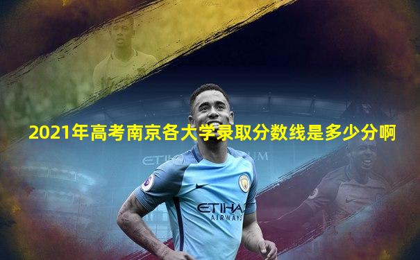 2021年高考南京各大学录取分数线是多少分啊