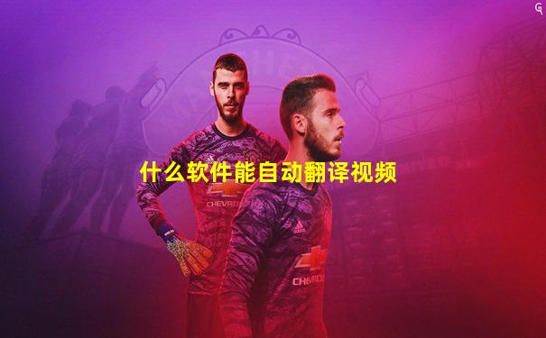 什么软件能自动翻译视频