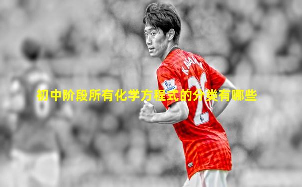 初中阶段所有化学方程式的分类有哪些