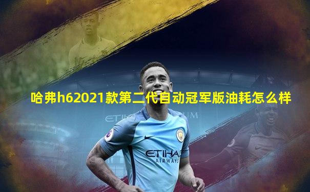 哈弗h62021款第二代自动冠军版油耗怎么样