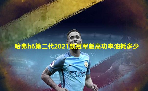 哈弗h6第二代2021款冠军版高功率油耗多少