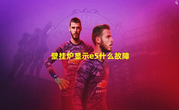 壁挂炉显示e5什么故障