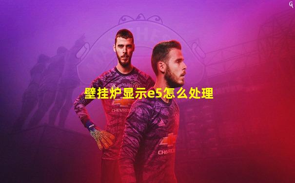 壁挂炉显示e5怎么处理