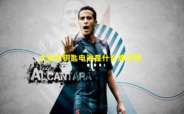 大众车钥匙电池是什么牌子的