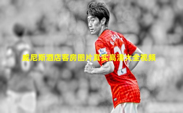 威尼斯酒店客房图片真实高清大全视频