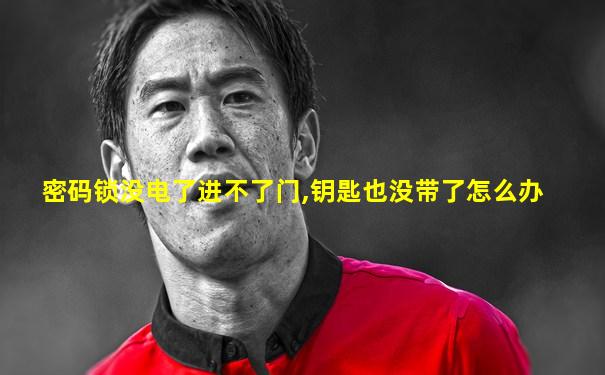 密码锁没电了进不了门,钥匙也没带了怎么办