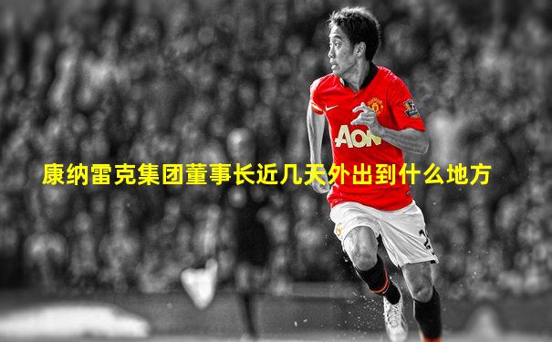 康纳雷克集团董事长近几天外出到什么地方