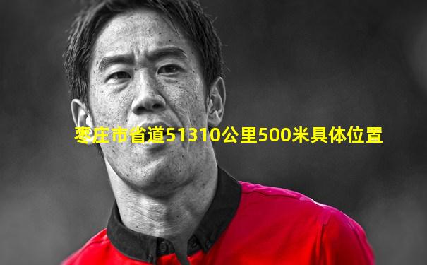 枣庄市省道51310公里500米具体位置