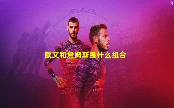 欧文和詹姆斯是什么组合