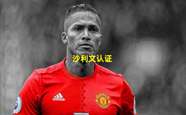 沙利文认证