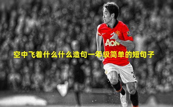 空中飞着什么什么造句一年级简单的短句子