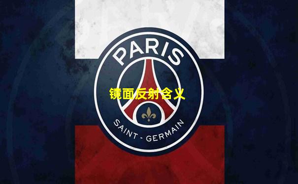 镜面反射含义