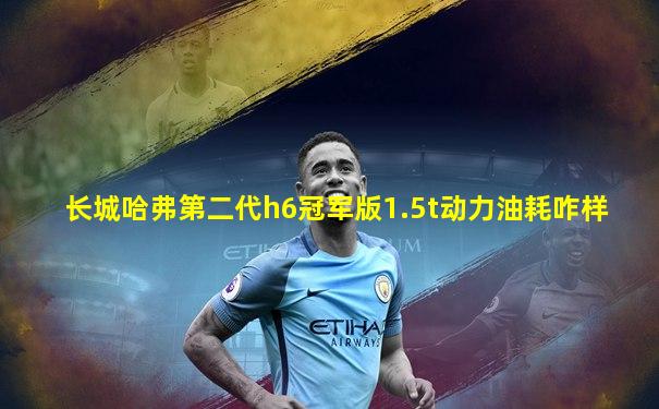 长城哈弗第二代h6冠军版1.5t动力油耗咋样